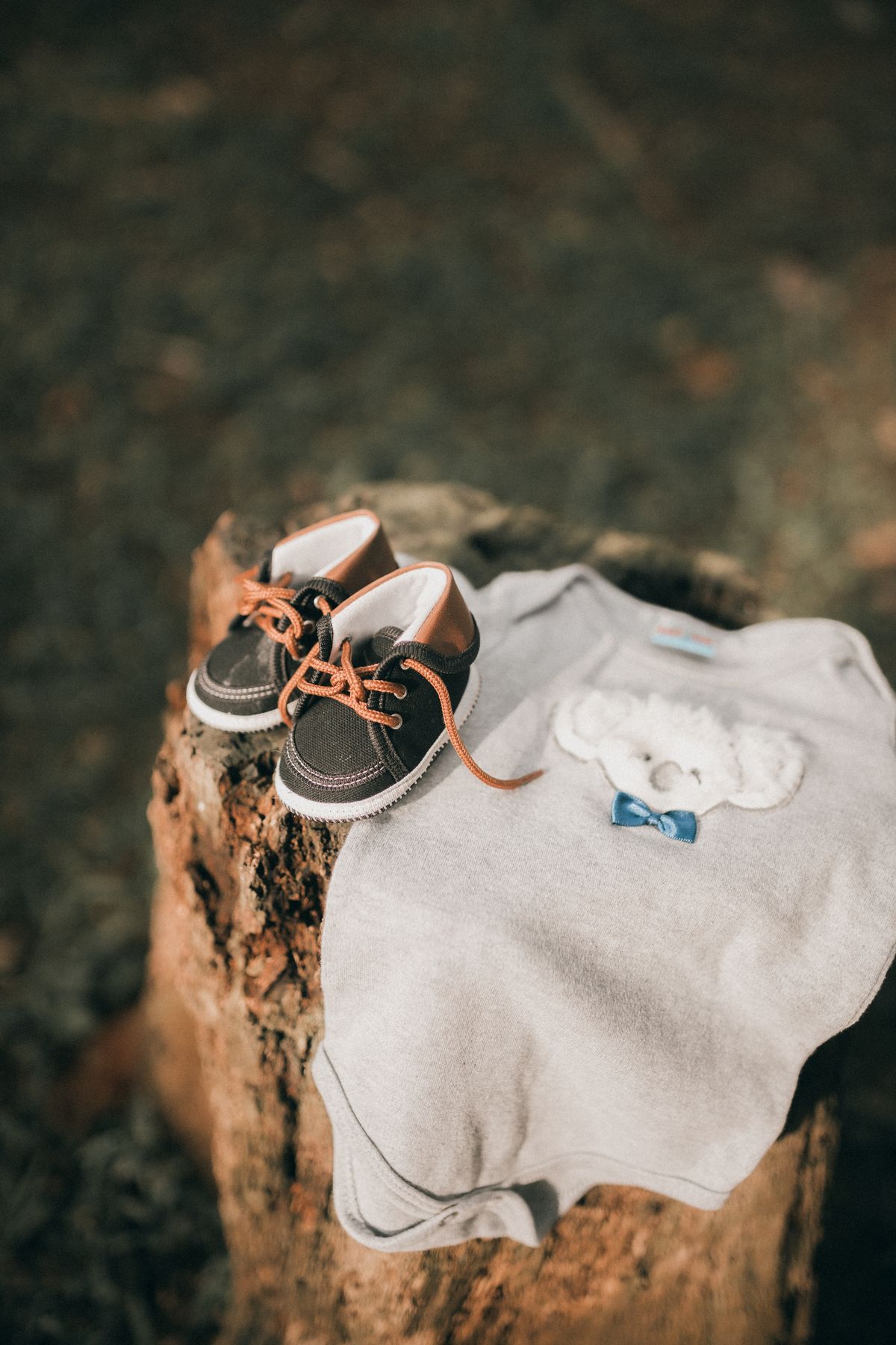 Set 5 bodysuit cotton hữu cơ cho bé 0-12 tháng